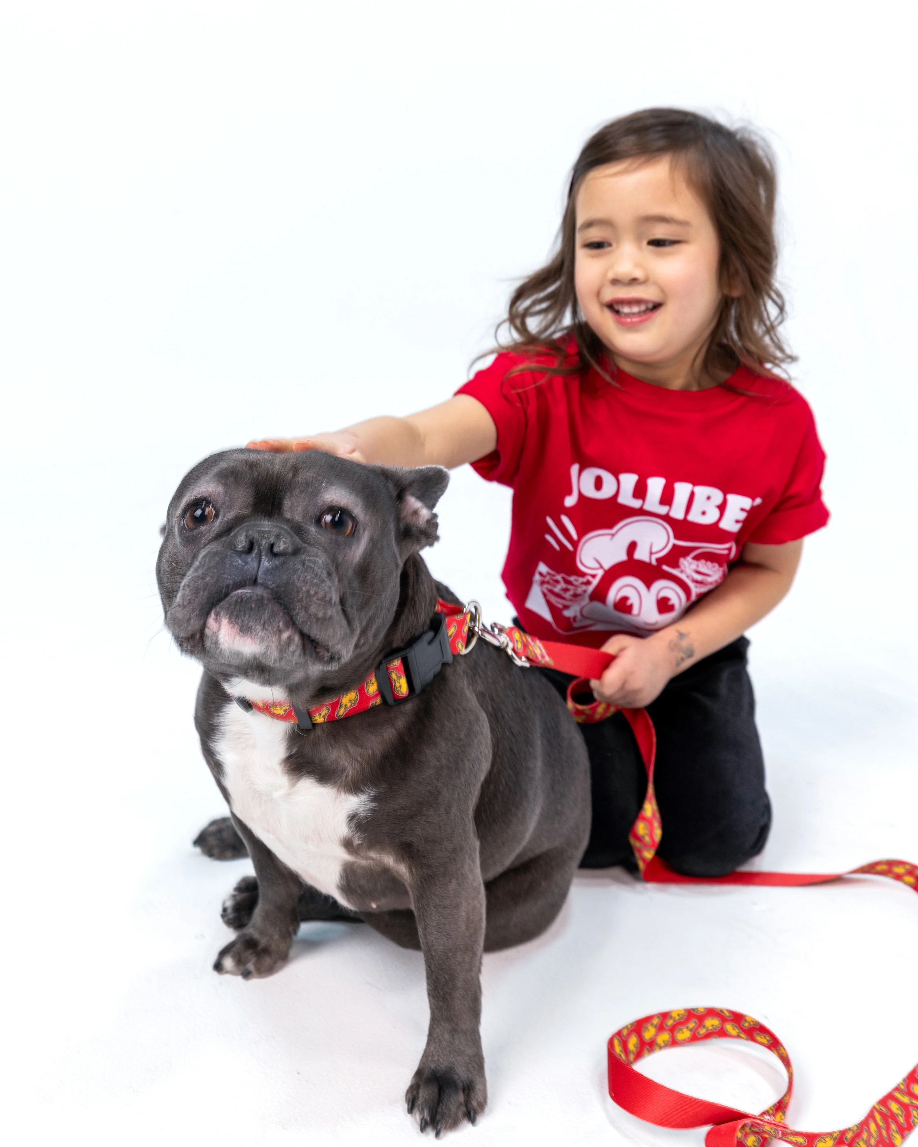 Drumstick Dog Collar - Image 3