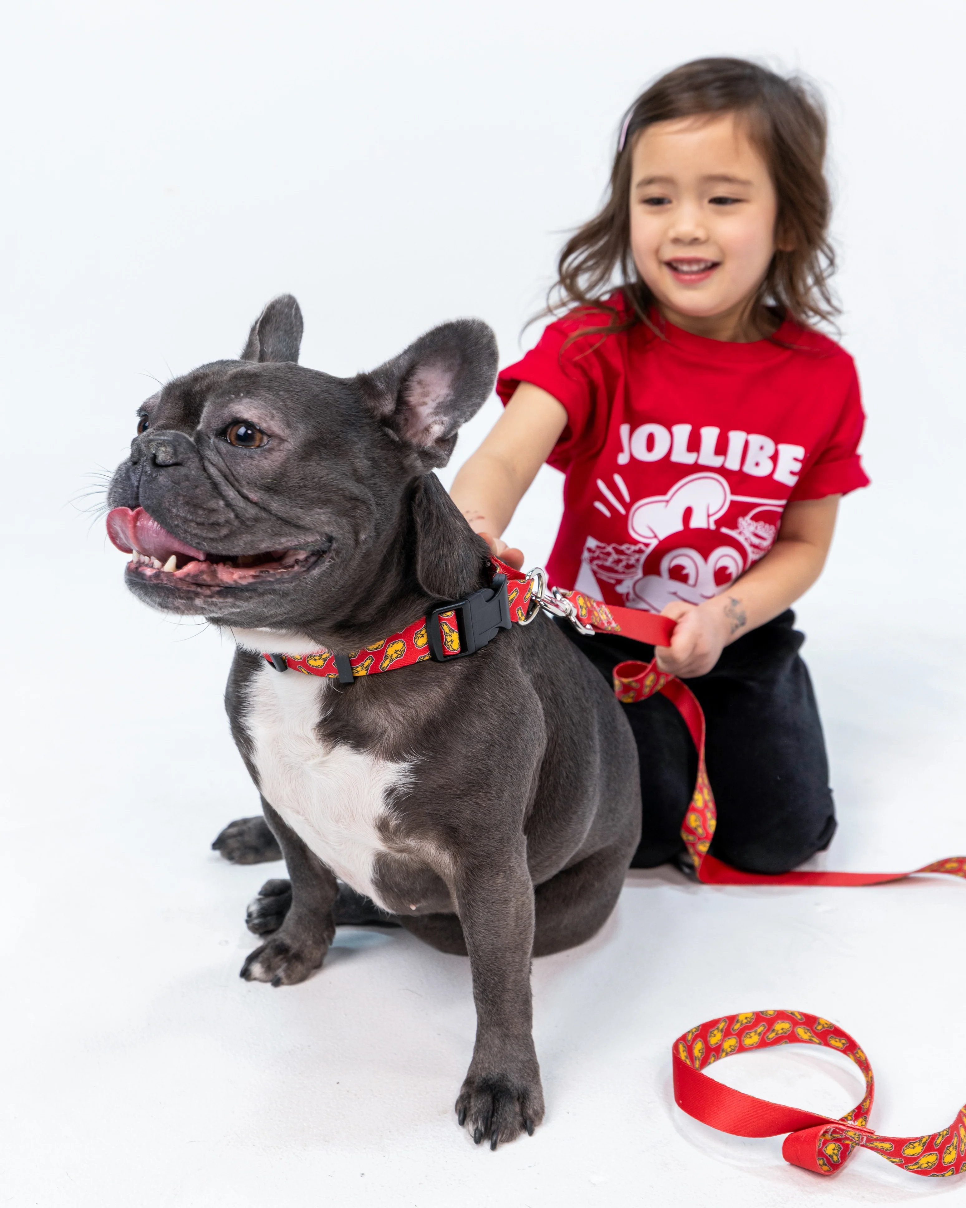 Drumstick Dog Leash - Image 3