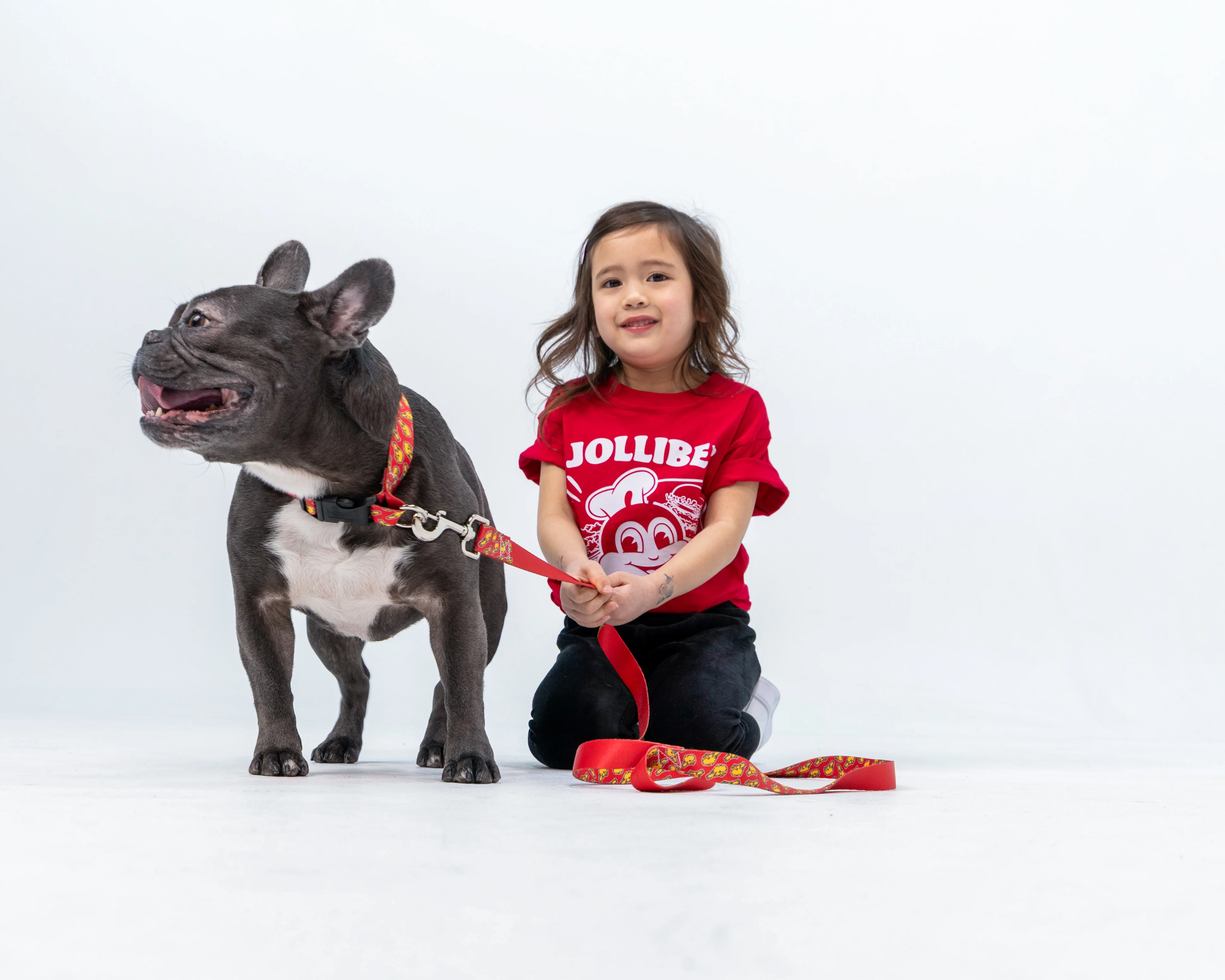 Drumstick Dog Leash - Image 4